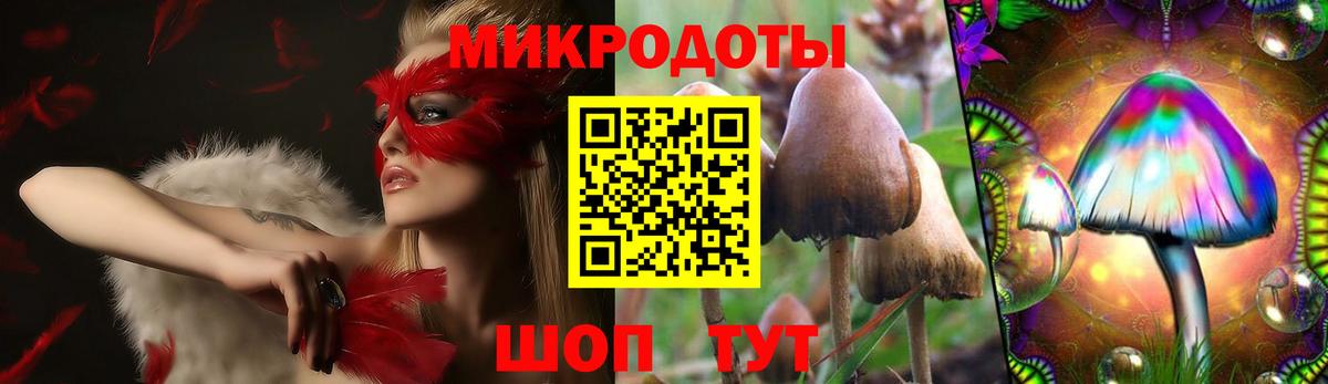 Псилоцибиновые грибы Magic Shrooms  Вход с VPN  Псилоцибиновые грибы Cubensis  Северск 